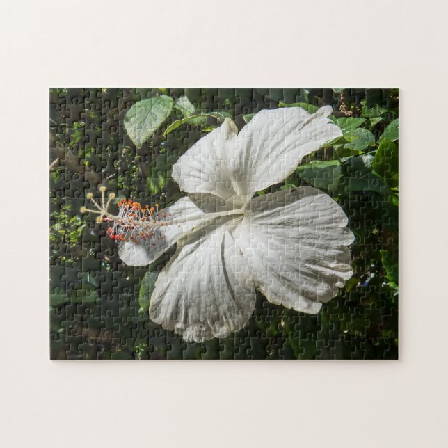 Puzzle Hibiscus blanco | Naturaleza pacífica (Horizontal)