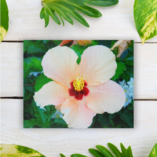 Puzzle Hibiscus Tropical De Venecia, Italia (Subido por el creador)
