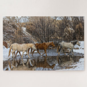 Puzzle Hideout Horse Ranch