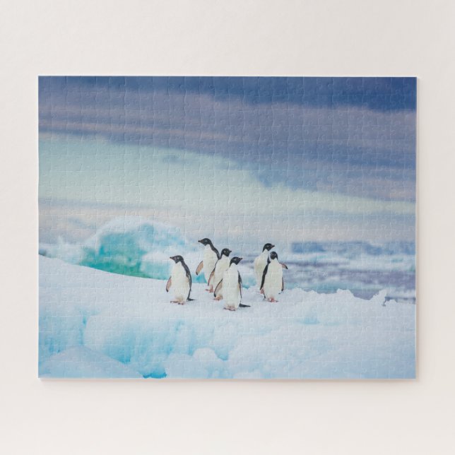 Puzzle Hielo y nieve | Adelie Penguins Antártida (Horizontal)