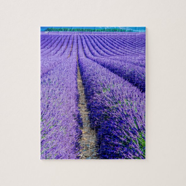 Puzzle Hileras de lavanda, Provenza, Francia (Vertical)
