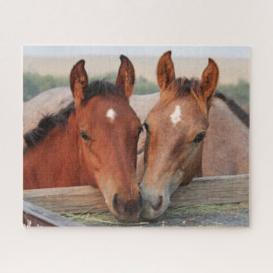 Puzzle Hípicos ecuestres