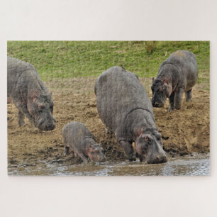 Puzzle Hipopótamo, Hippopotamus amphibius, Serengeti
