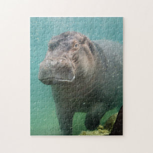 Puzzle hippo-4