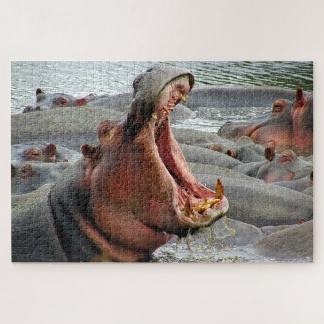 Puzzle hippo yawn (Horizontal)