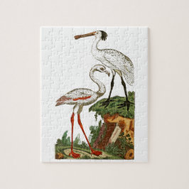 Puzzle Historia natural de las aves 1795 Placa 33 Pequeña