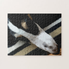 Puzzle Hocico de Borzoi