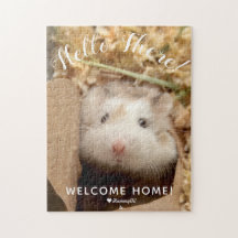Hogar de bienvenida de Cute Hamster Hello There