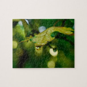 Puzzle Hoja con gota de agua