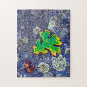 Puzzle Hoja de roble y bellotas sobre una roca cubierta d