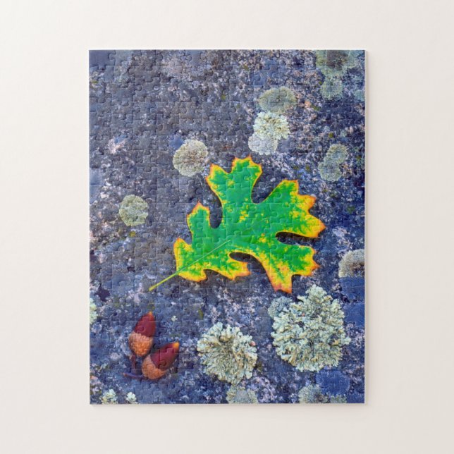 Puzzle Hoja de roble y bellotas sobre una roca cubierta d (Vertical)