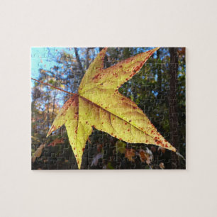 Puzzle Hoja de Sweetgum Brillante en el Bosque
