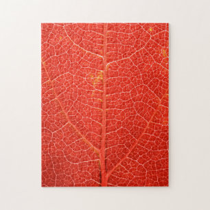 Puzzle Hoja otoñal