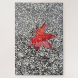 Puzzle Hoja roja de otoño en lluvia en camino gris textur