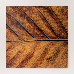 Puzzle Hoja seca: fondo de textura natural.