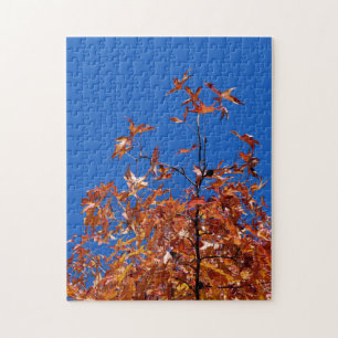 Puzzle Hojas de arce