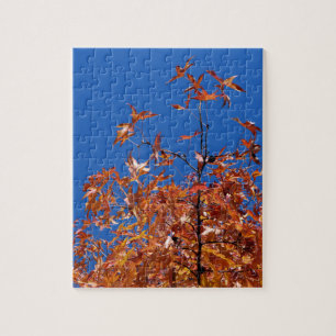 Puzzle Hojas de arce