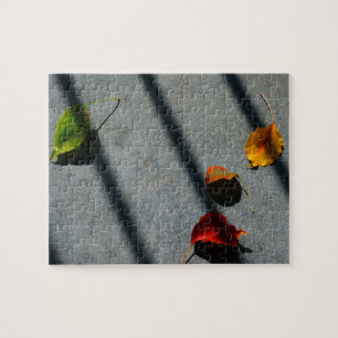 Puzzle Hojas de arce