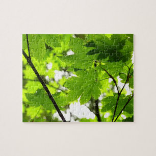 Puzzle Hojas de arce con gotas de lluvia