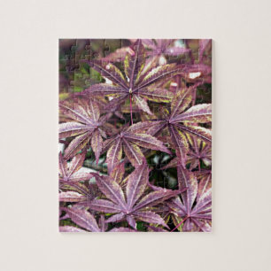 Puzzle Hojas de arce japonesas
