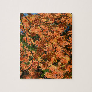 Puzzle Hojas de arce japonesas coloridas