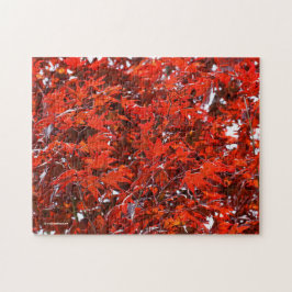 Puzzle Hojas de arce rojas