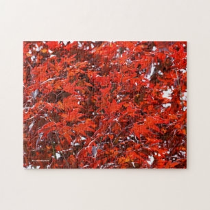 Puzzle Hojas de arce rojas