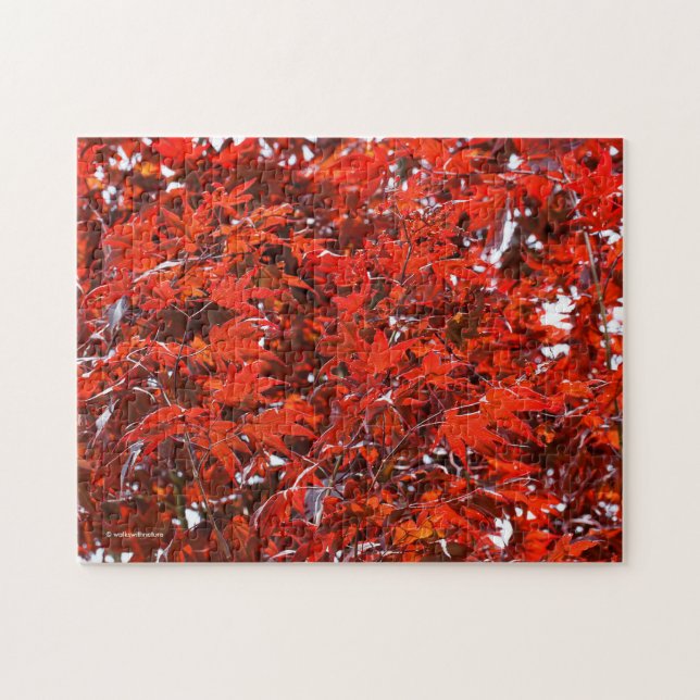 Puzzle Hojas de arce rojas (Horizontal)