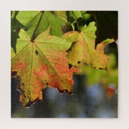 Puzzle Hojas de caída coloridas