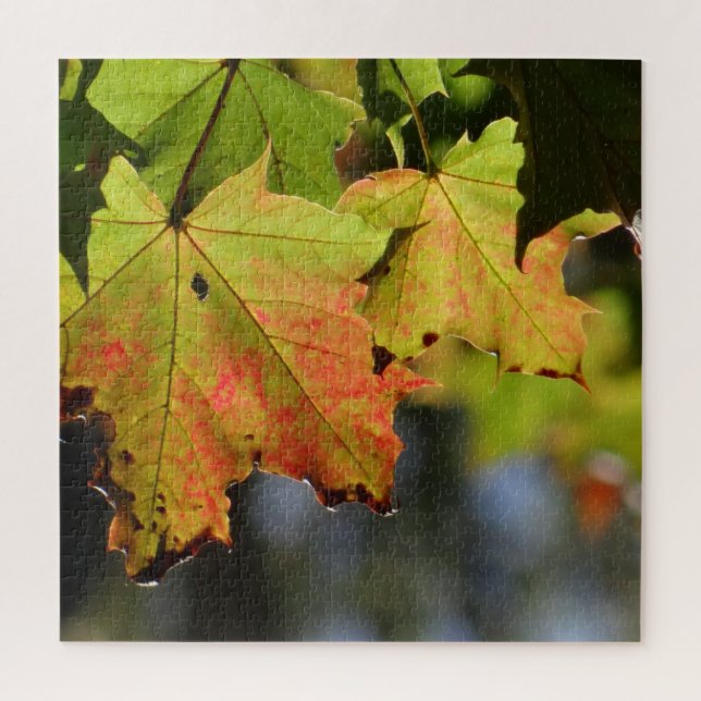 Puzzle Hojas de caída coloridas (Vertical)