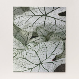 Puzzle Hojas de Caladio Blanco Verde