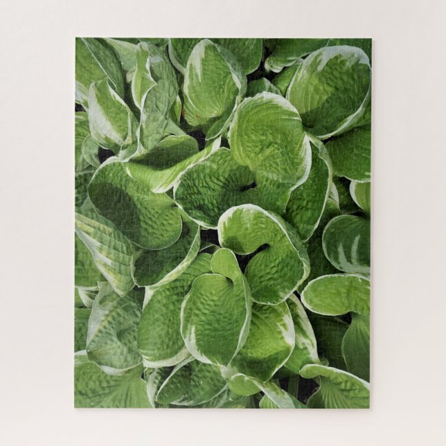 Puzzle Hojas de Hosta (Vertical)