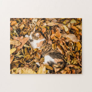 Puzzle Hojas de otoño al aire libre caen gato tabby cali