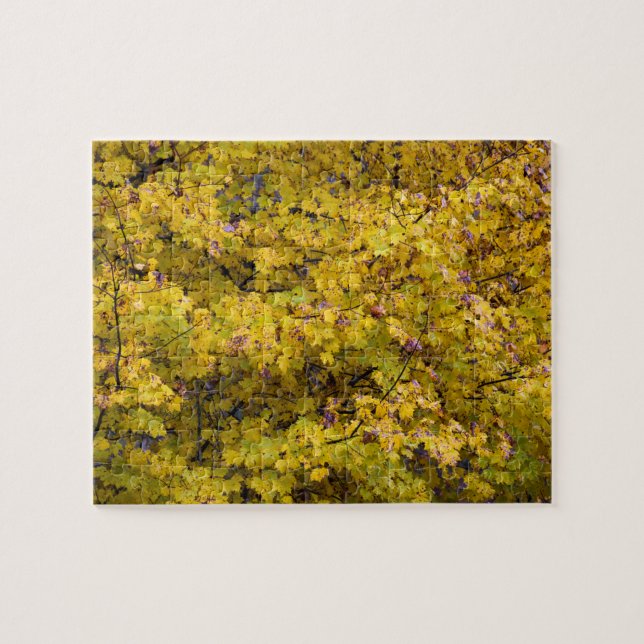 Puzzle Hojas doradas de otoño - 8 x 10 pulgadas (Horizontal)