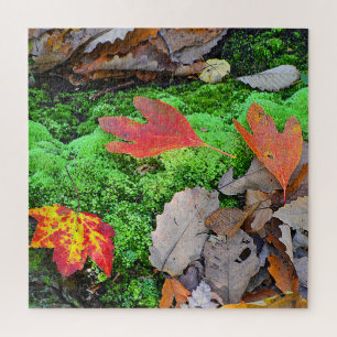 Puzzle Hojas otoñales