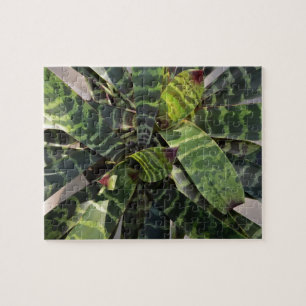 Puzzle Hojas rayadas planta de Vriesea Splendens
