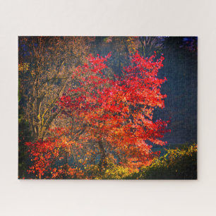 Puzzle Hojas rojas