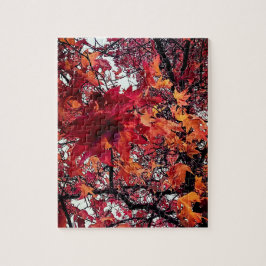 Puzzle Hojas rojas y naranjas