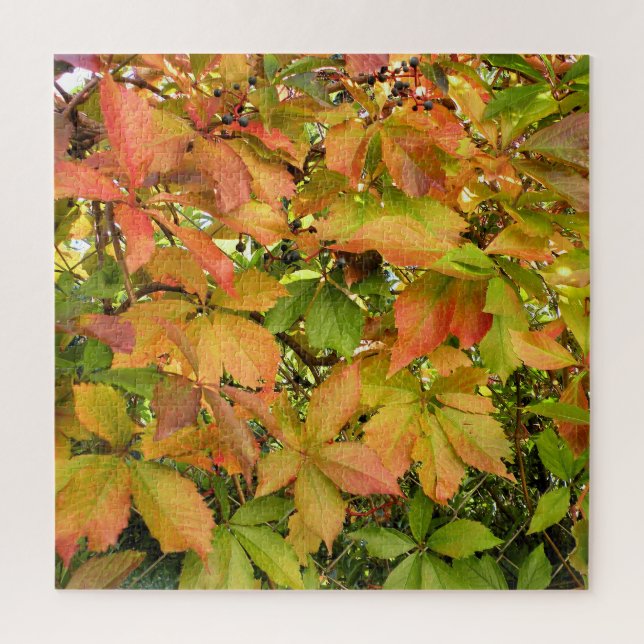 Puzzle Hojas salvajes de la vid del otoño (Vertical)
