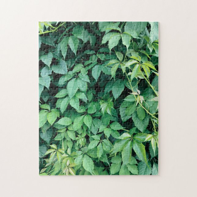 Puzzle Hojas verdes de uva (Vertical)