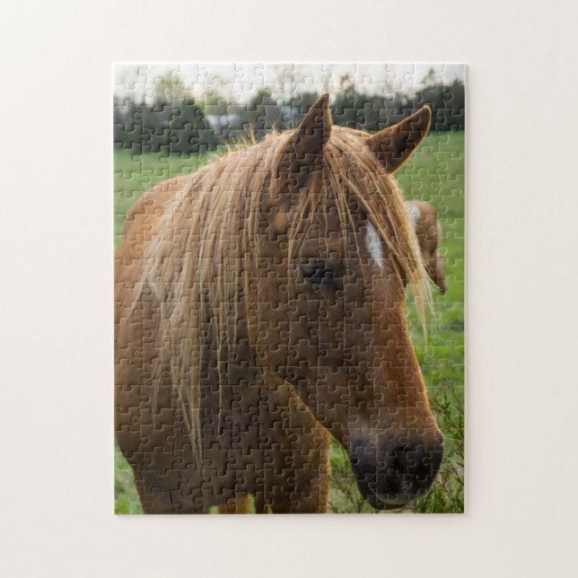 Puzzle Hola de caballo (Vertical)