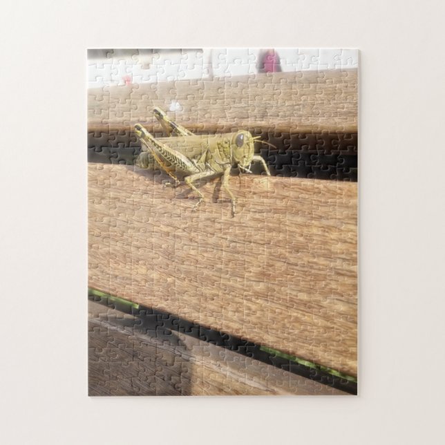 Puzzle ¡Hola señor Grasshopper! (Vertical)