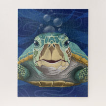 Hola Tortuga