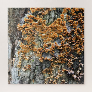 Puzzle hongos de árbol