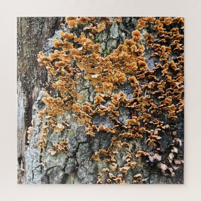 Puzzle hongos de árbol (Vertical)