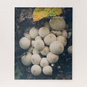 Puzzle Hongos de bolas blancas entre las hojas de otoño