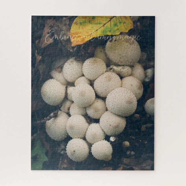 Puzzle Hongos de bolas blancas entre las hojas de otoño (Vertical)