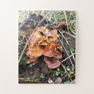 Puzzle Hongos en el bosque