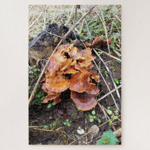 Puzzle Hongos en el bosque