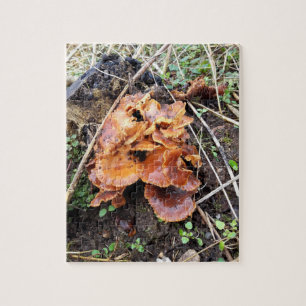 Puzzle Hongos en el bosque